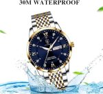 RovyFota Male Wrist Watches, Luminous Pointer, Men’s Watch Analog Quartz Movement, Stainless Steel, Waterproof, Apply to Luxury Dress Business, Big Face Rome Number Diamond Dial - Image 2